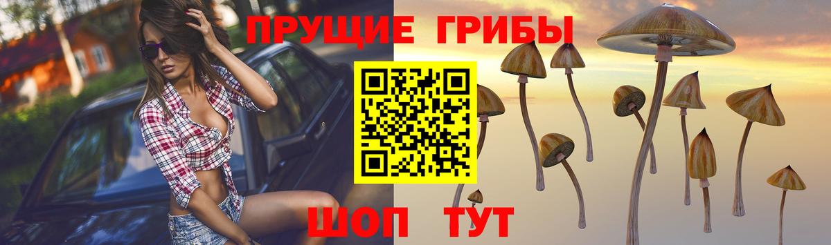 Галлюциногенные грибы мицелий  Вход с VPN  Елабуга  Псилоцибиновые грибы мицелий 
